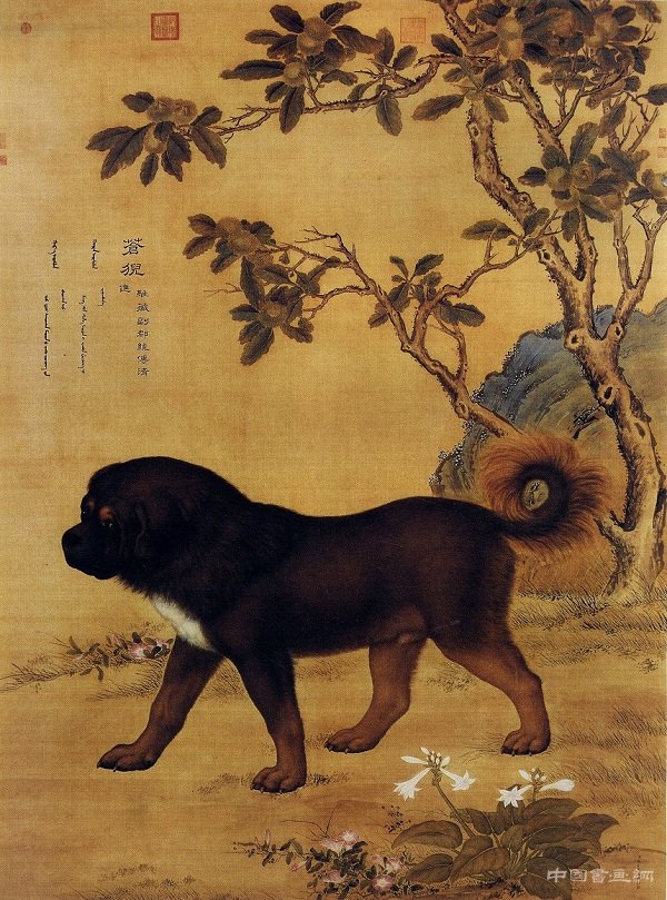 郎世寧 犬