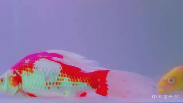 偏锋空间：本傑明·阿普爾个展启幕