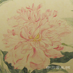 【特展】为花传神冠古今：恽南田篇
