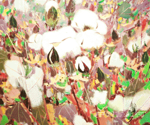 <b>“观物”展——王克举关于自然的展示与思考</b>