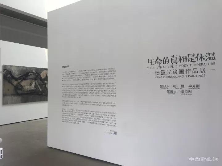 62岁杨重光北京首次个展
