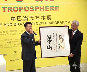 “对流—中巴当代艺术展”盛大举行