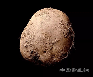 把土豆卖出天价的艺术家 又和区块链来了次“跨界”