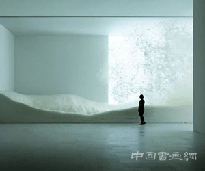 在薄弱易变的东西中发现自然的“美”