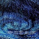 沉浸式“网红展”：艺术与科技的共生