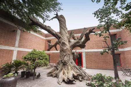 艾未未一周连开三场个展：重要的不是阐释 在中国开展即是宣言