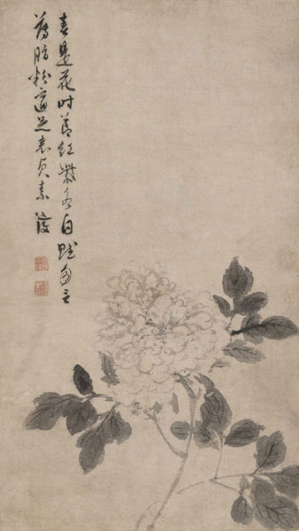 陈淳 牡丹花卉图