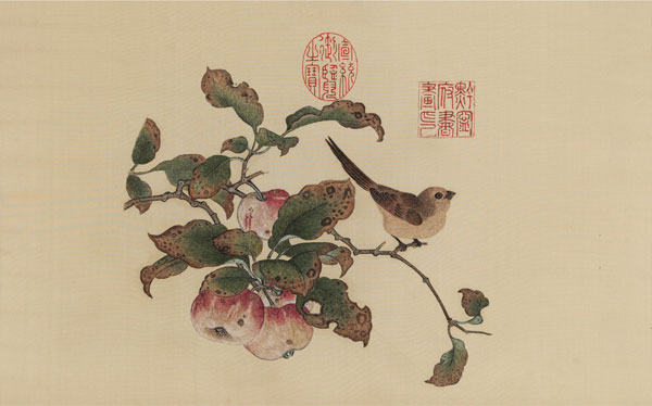  黄筌 苹婆山鸟图