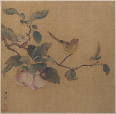 林椿 果熟来禽
