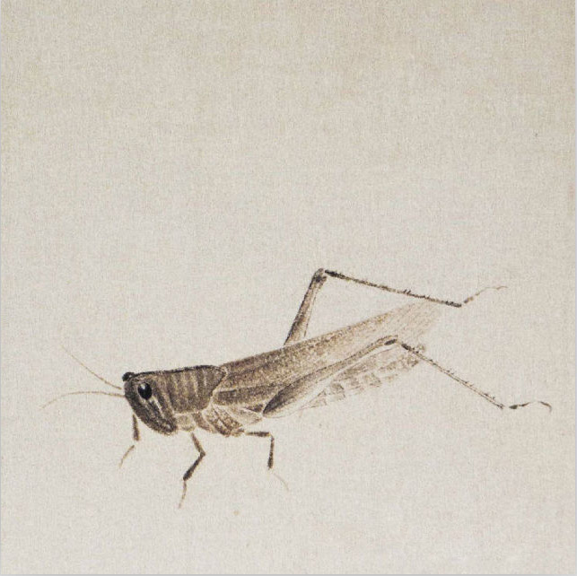 齐白石 蚂蚱