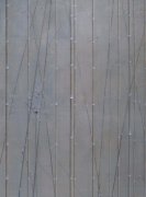 Composition with Bamboo and Grass