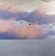 有鸟的海景