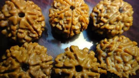 金刚菩提如何判断真伪与优劣
