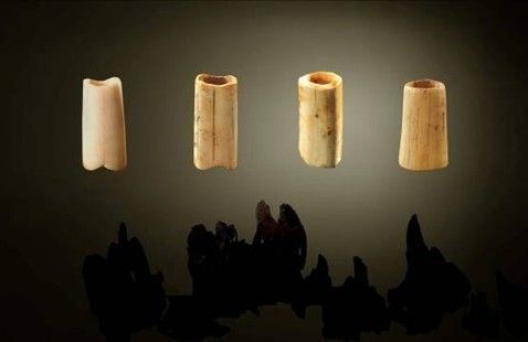 法门寺佛指舍利出土后的故事