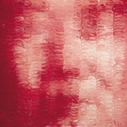 我们系列：毛泽东