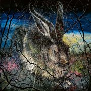 Hare