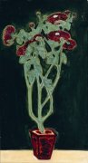 盆菊