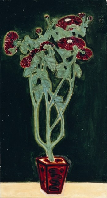 盆菊