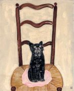 坐在椅子上的猫