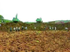 村民疯抢石头赌升值