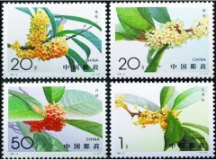 中秋赏《桂花》邮票