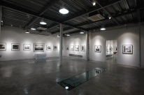 See+画廊