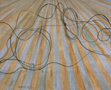 The Wire (2)