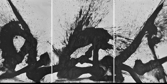 “秦风与布鲁斯•比斯利对话展”
