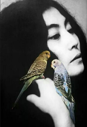 小野洋子:请别阻止我成为我自己