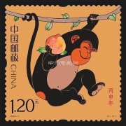 猴大版20天涨了28倍 业内提醒谨防高开低走