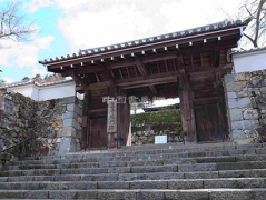 日本国宝级寺院门上被刻字