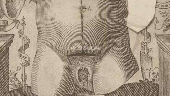 16世纪人体连环画长这样 哥伦比亚大学电子版