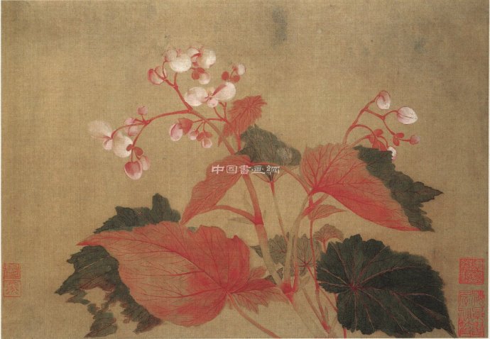 清 恽寿平花鸟作品赏析(二)
