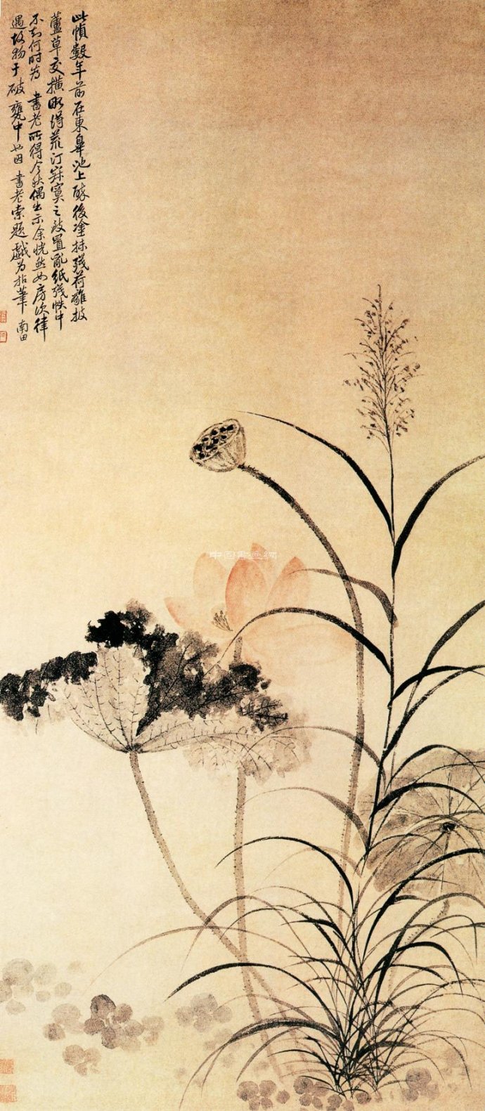 清 恽寿平花鸟作品赏析(二)