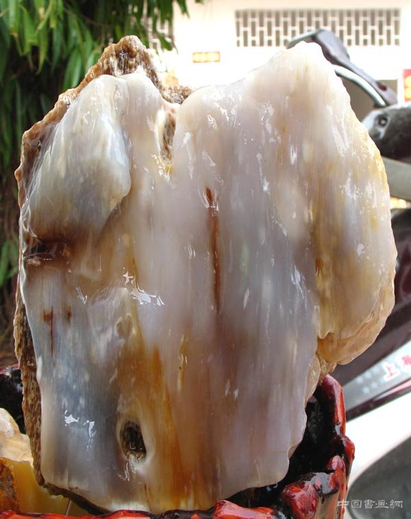 浅谈树化玉的投资与收藏