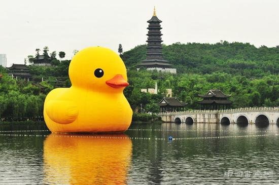粉红鱼没看够?这还有霍夫曼的更多萌物