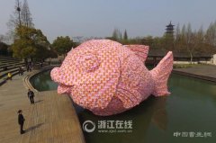 粉红鱼没看够？这还有霍夫曼的更多萌物