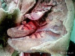 蒙古国发现1500年前突厥女木乃伊
