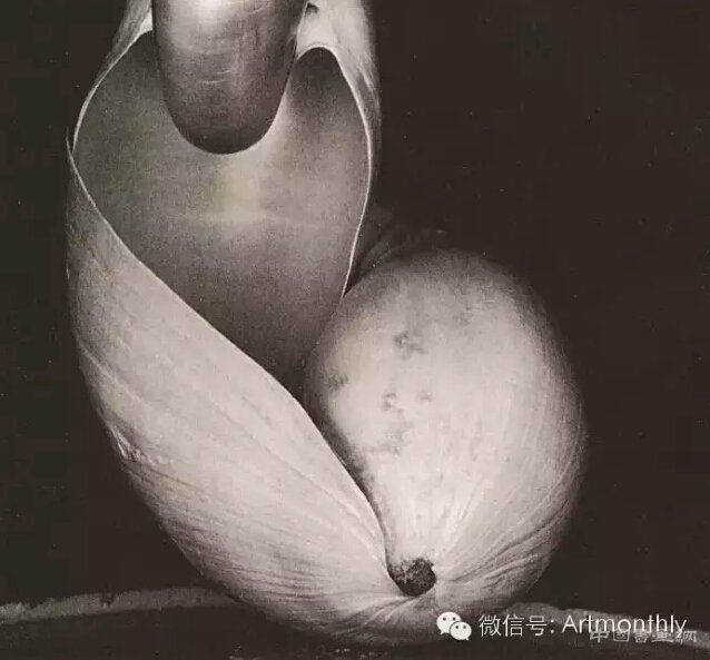 看与被看——杨小彦访谈