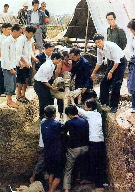 流沙河评“德阳三星堆”:古迹的命名应服从于文化本位