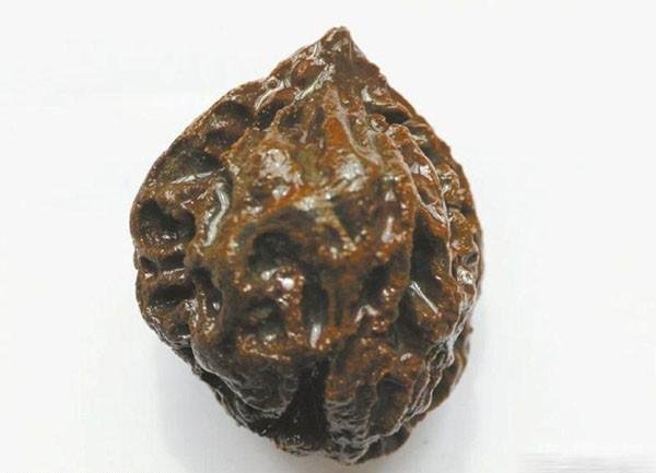 成都发现约4500年前人骨,有助破解史前先民DNA