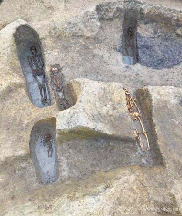 成都发现约4500年前人骨,有助破解史前先民DNA