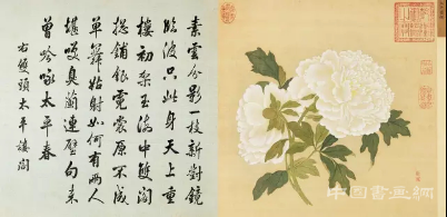 蒋廷锡《百种牡丹谱》亮相匡时十周年春拍
