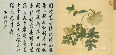蒋廷锡《百种牡丹谱》亮相匡时十周年春拍