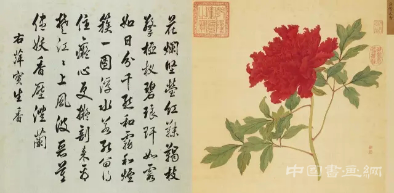 蒋廷锡《百种牡丹谱》亮相匡时十周年春拍