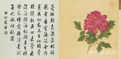 蒋廷锡《百种牡丹谱》亮相匡时十周年春拍