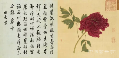 蒋廷锡《百种牡丹谱》亮相匡时十周年春拍