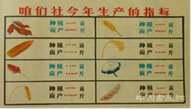 谁是奥图·纽拉特?