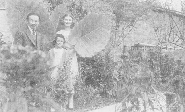 被误解的林风眠:画仍未了,魂归海上