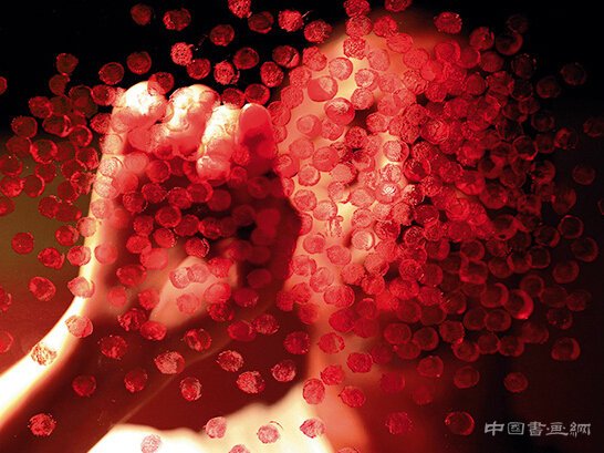 高岭 象与像,视觉艺术的两个维度